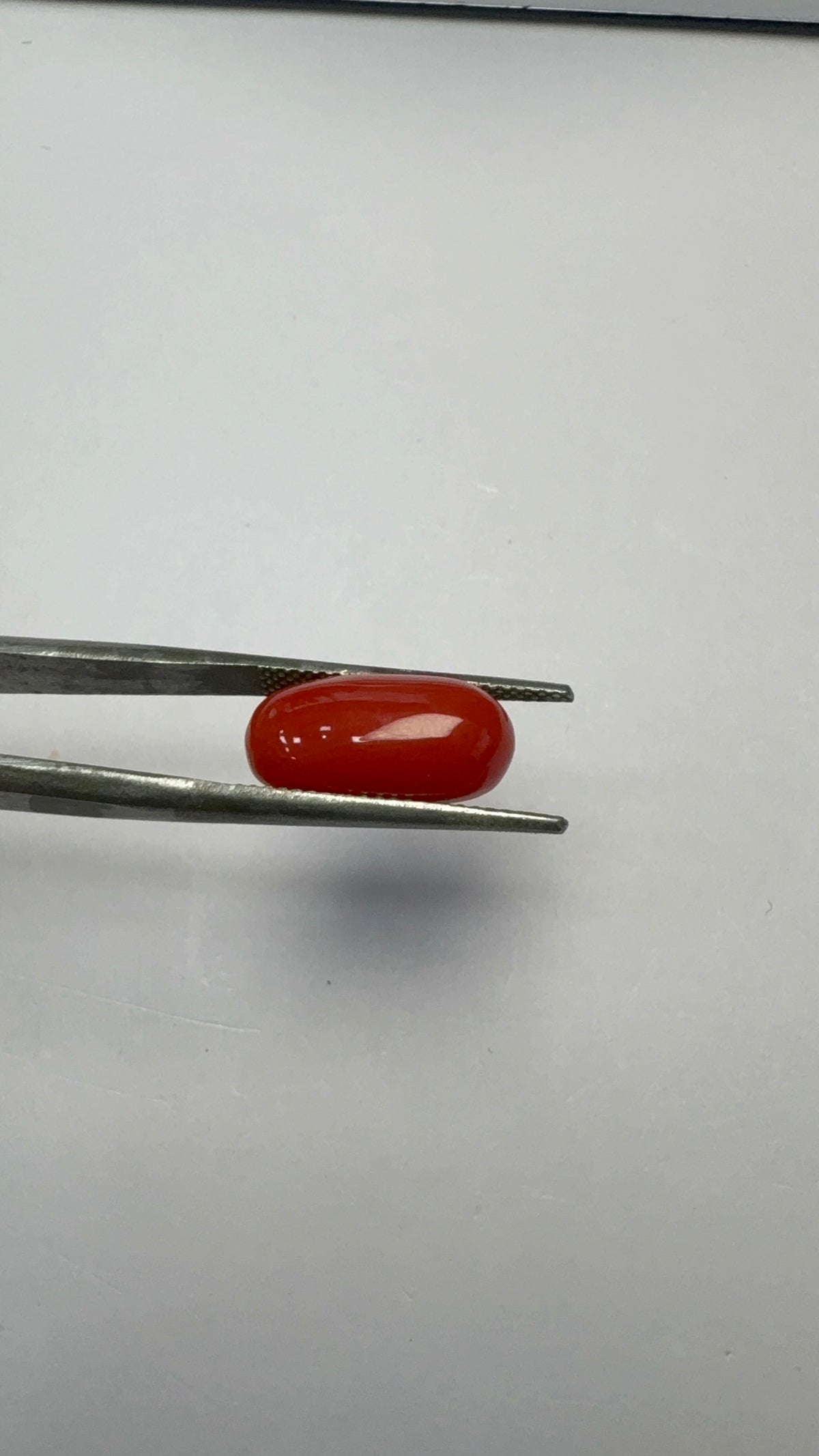 Red Coral 5.51 carat COR-91 close view