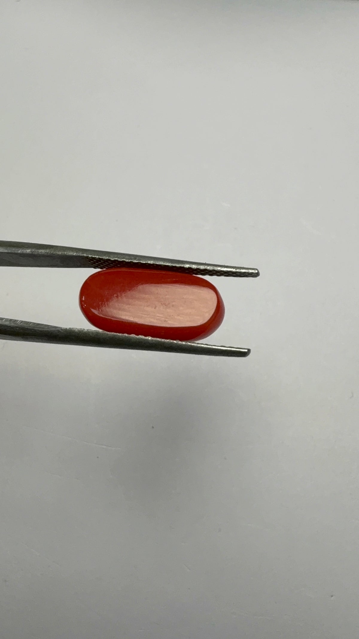 Red Coral 5.51 carat COR-91 angled view