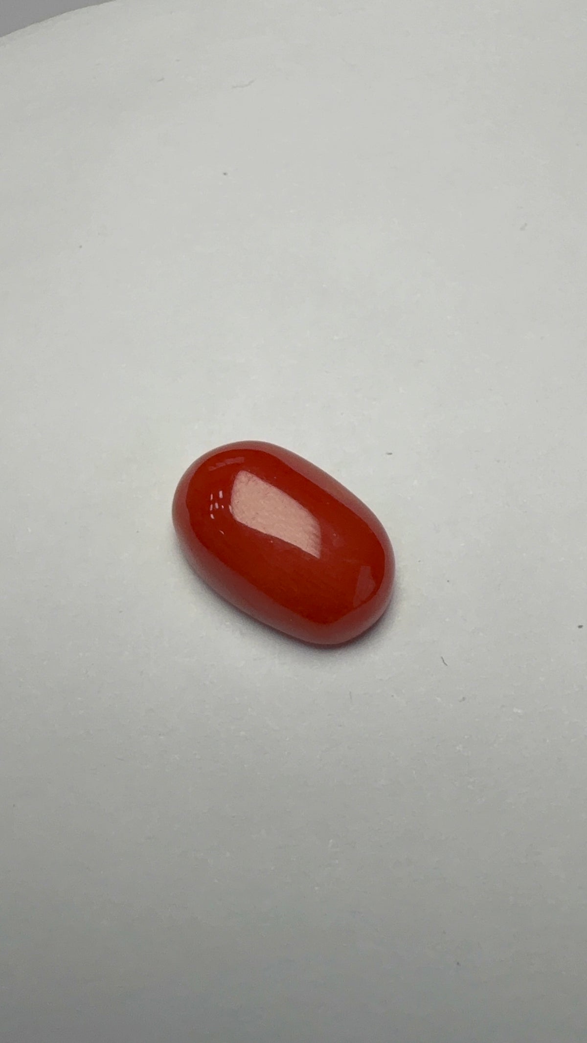 Red Coral 5.39 carat COR-94 front view