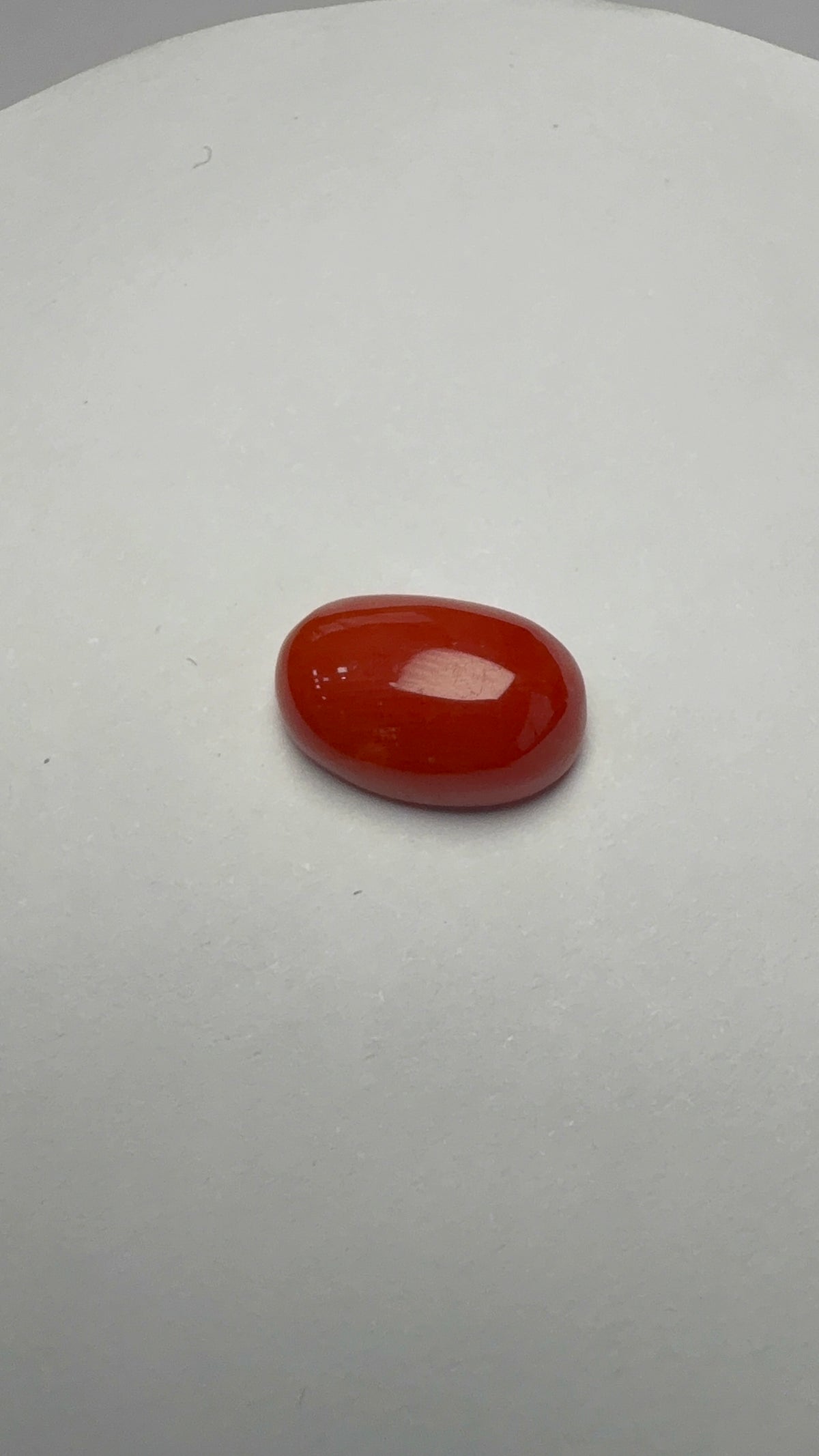 Red Coral 5.39 carat COR-94 face-up view