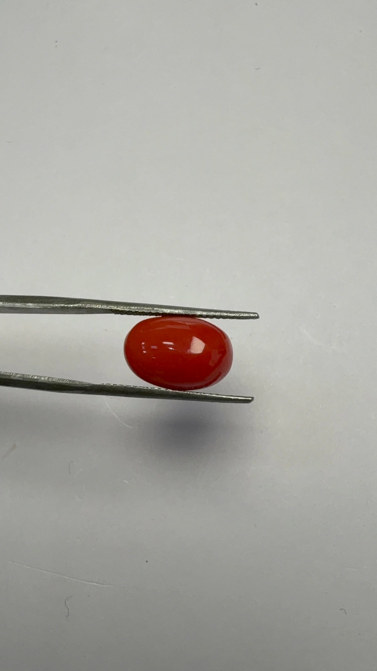 Red Coral 5.39 carat COR-94 close view