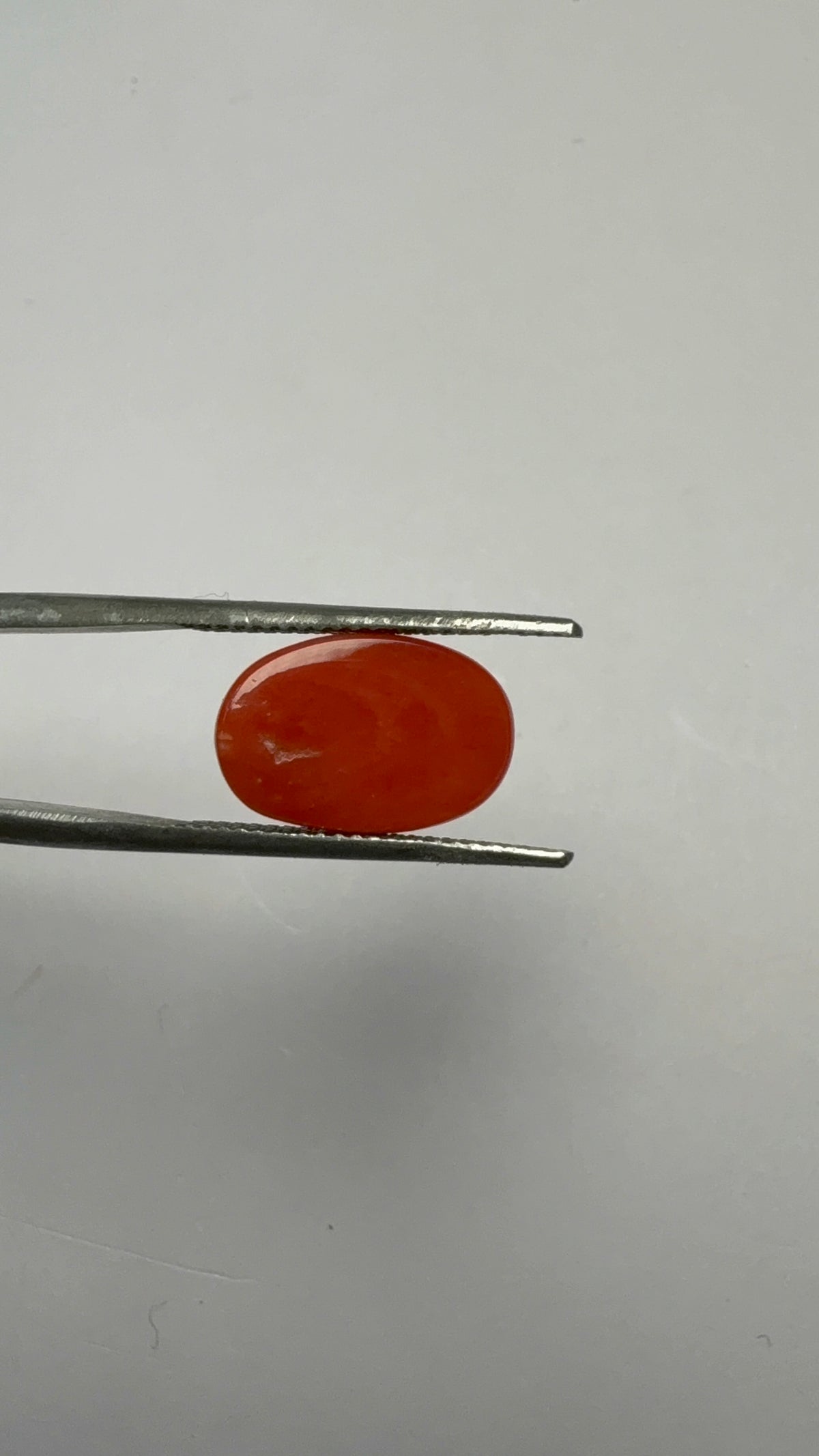 Red Coral 5.39 carat COR-94 angled view