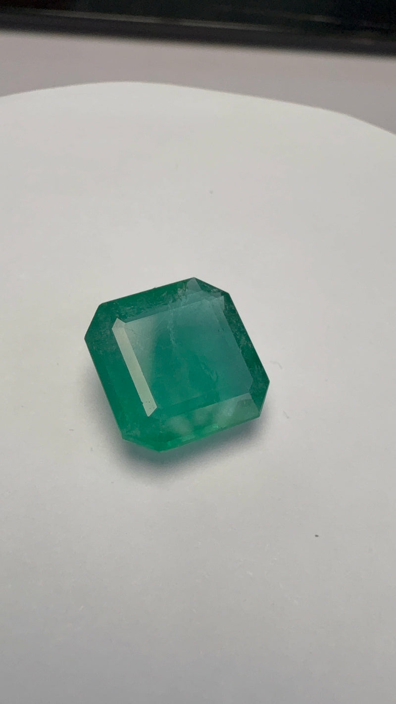 Emerald – 7.94 Carat – Zambia – Atmas