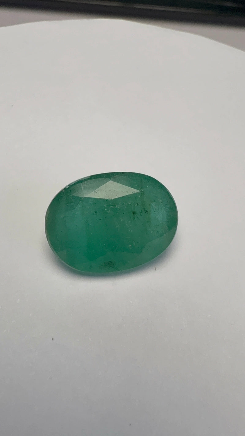Emerald – 8.24 Carat – Zambia – Oval
