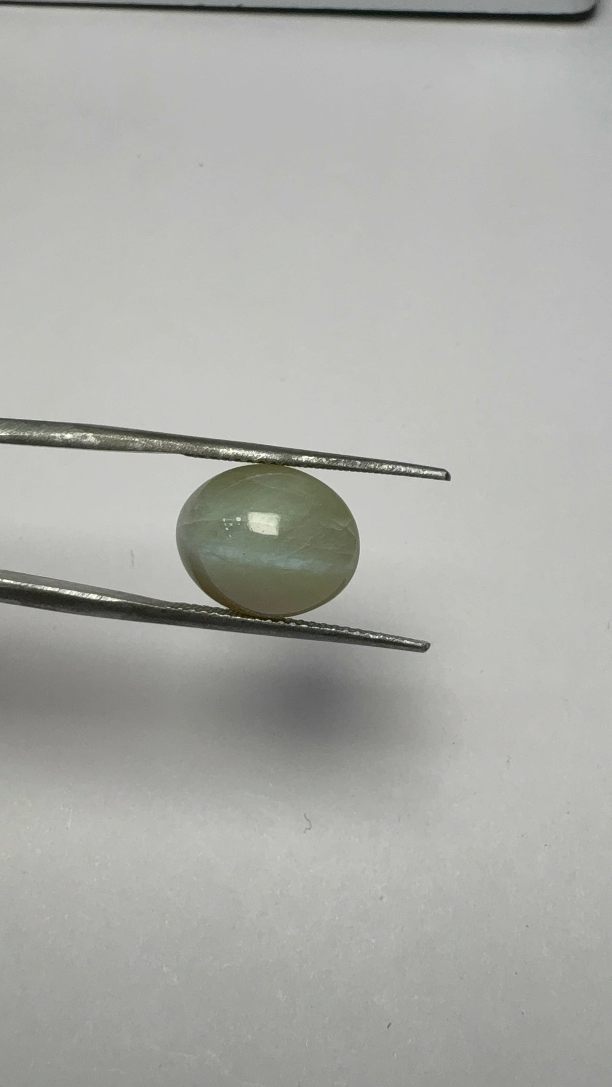 Cat's Eye 9.02 carat LAR-02 close view