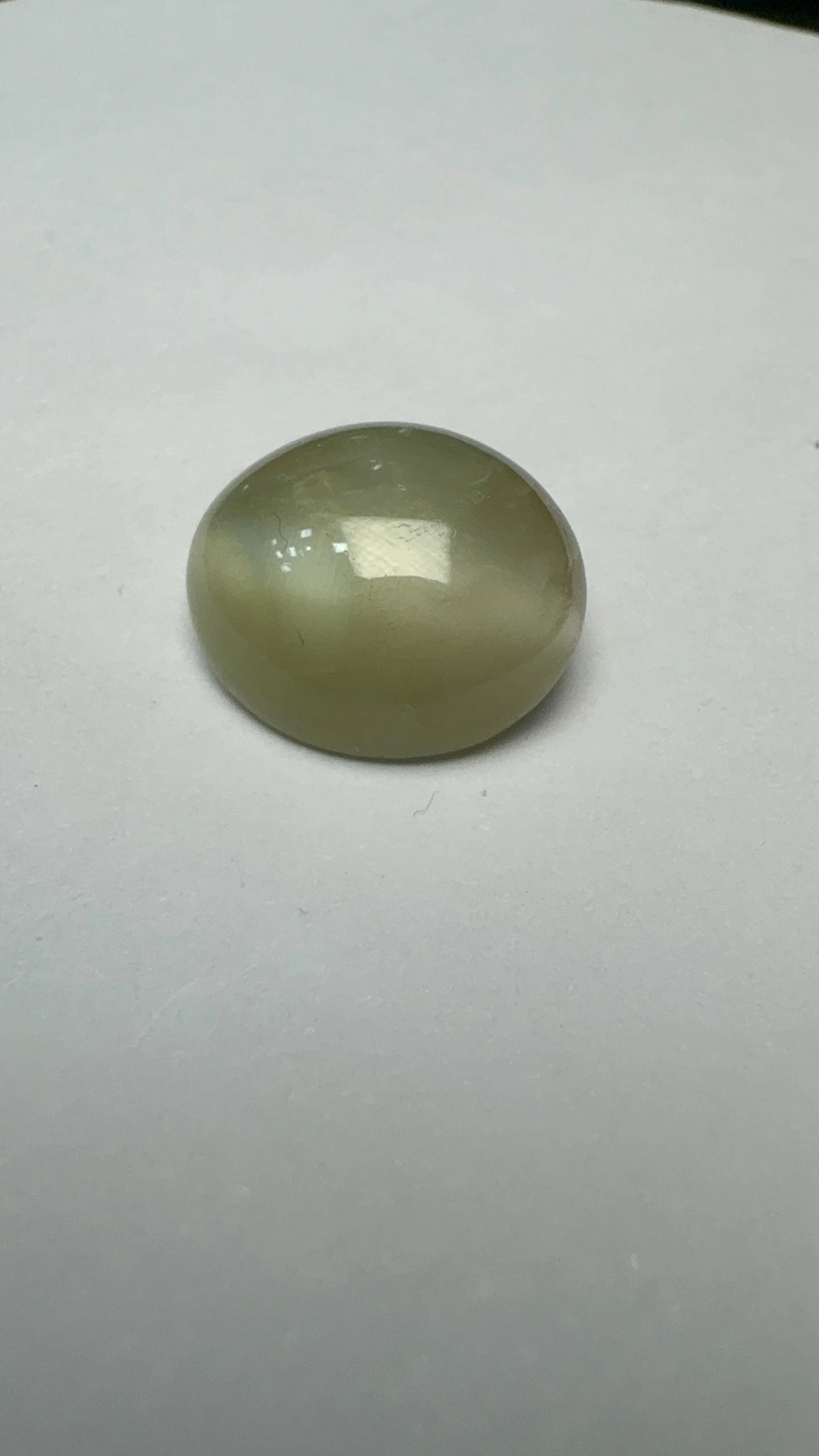 Cat's Eye 6.63 carat LAR-04 alternate face-up view
