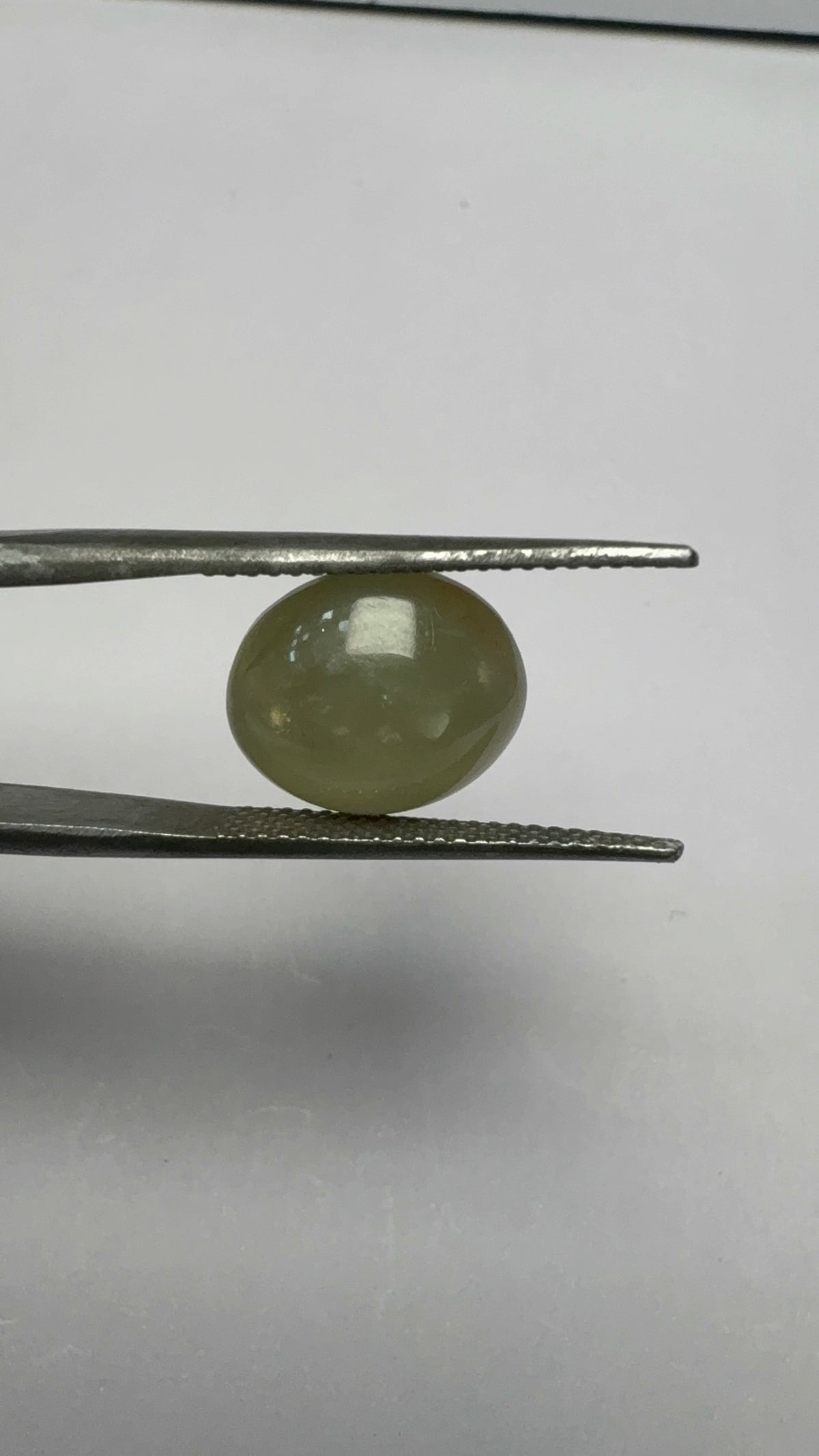 Cat's Eye 6.63 carat LAR-04 close view