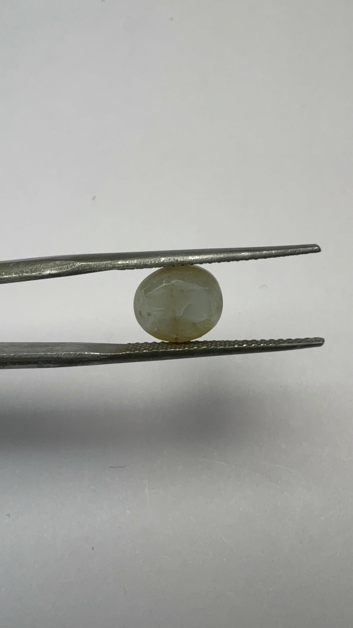 Cat's Eye 3.11 carat LAR-07 reverse view