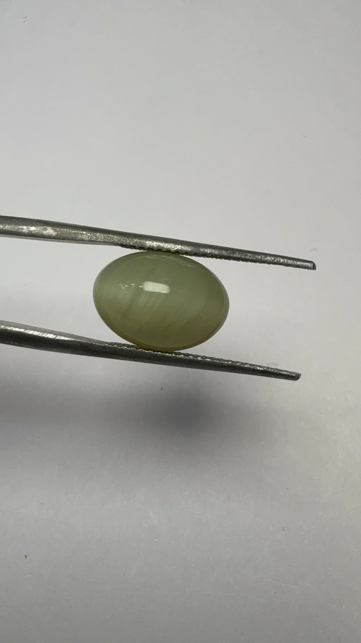 Cat's Eye 5.33 carat LAR-08 angled view