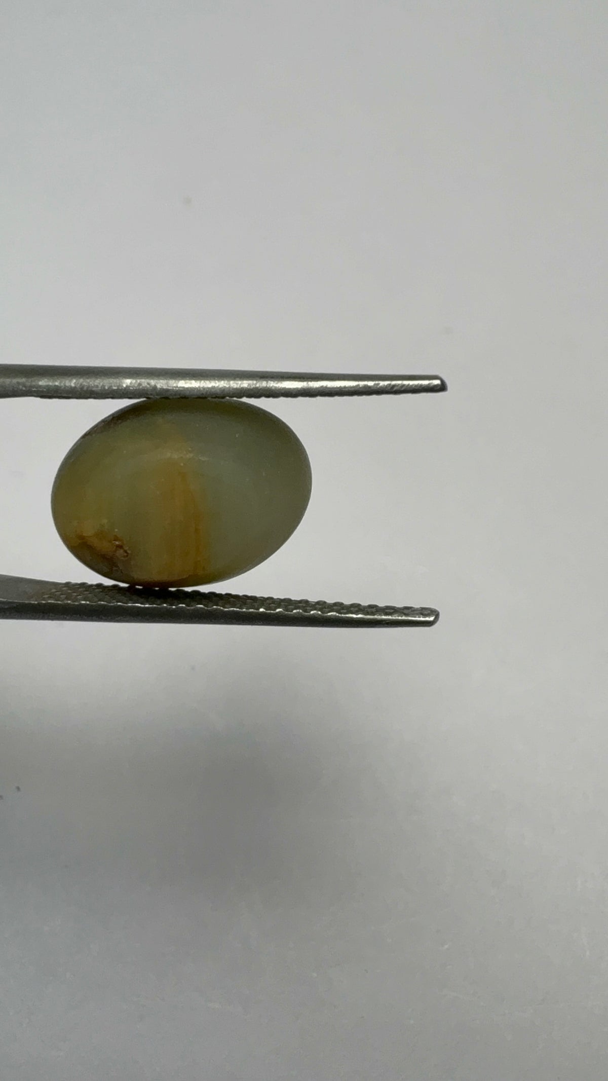Cat's Eye 6.50 carat LAR-09 reverse view