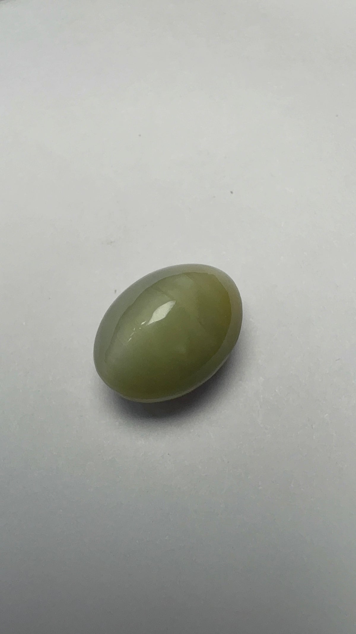 Cat's Eye 7.73 carat LAR-10 front view
