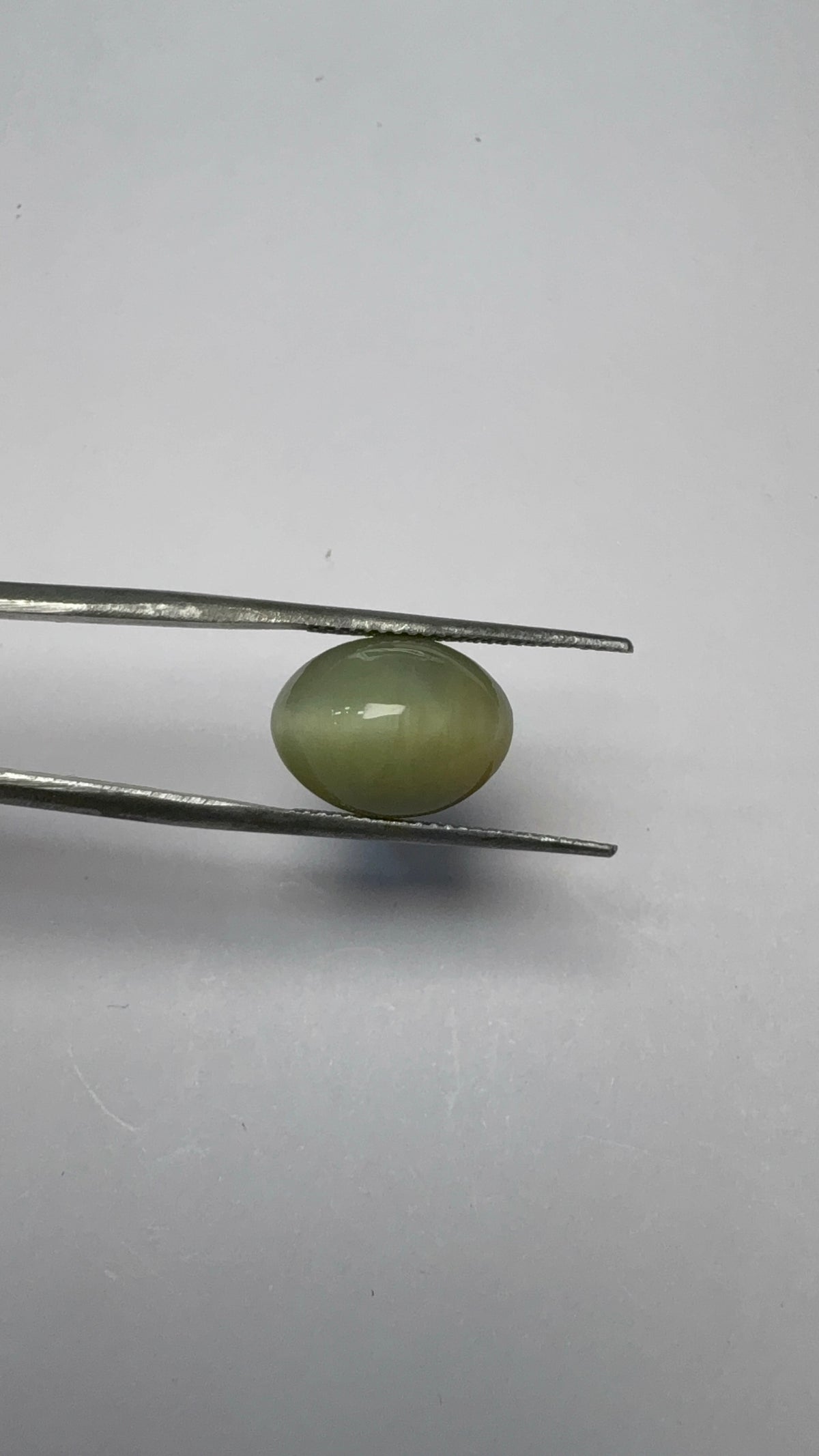 Cat's Eye 7.73 carat LAR-10 angled view
