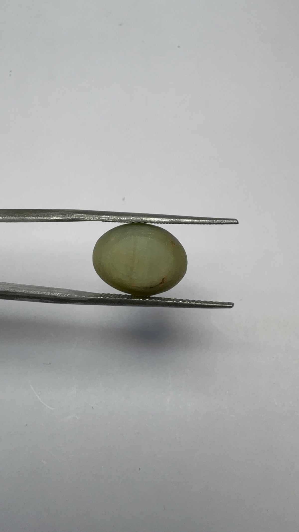 Cat's Eye 7.73 carat LAR-10 reverse view