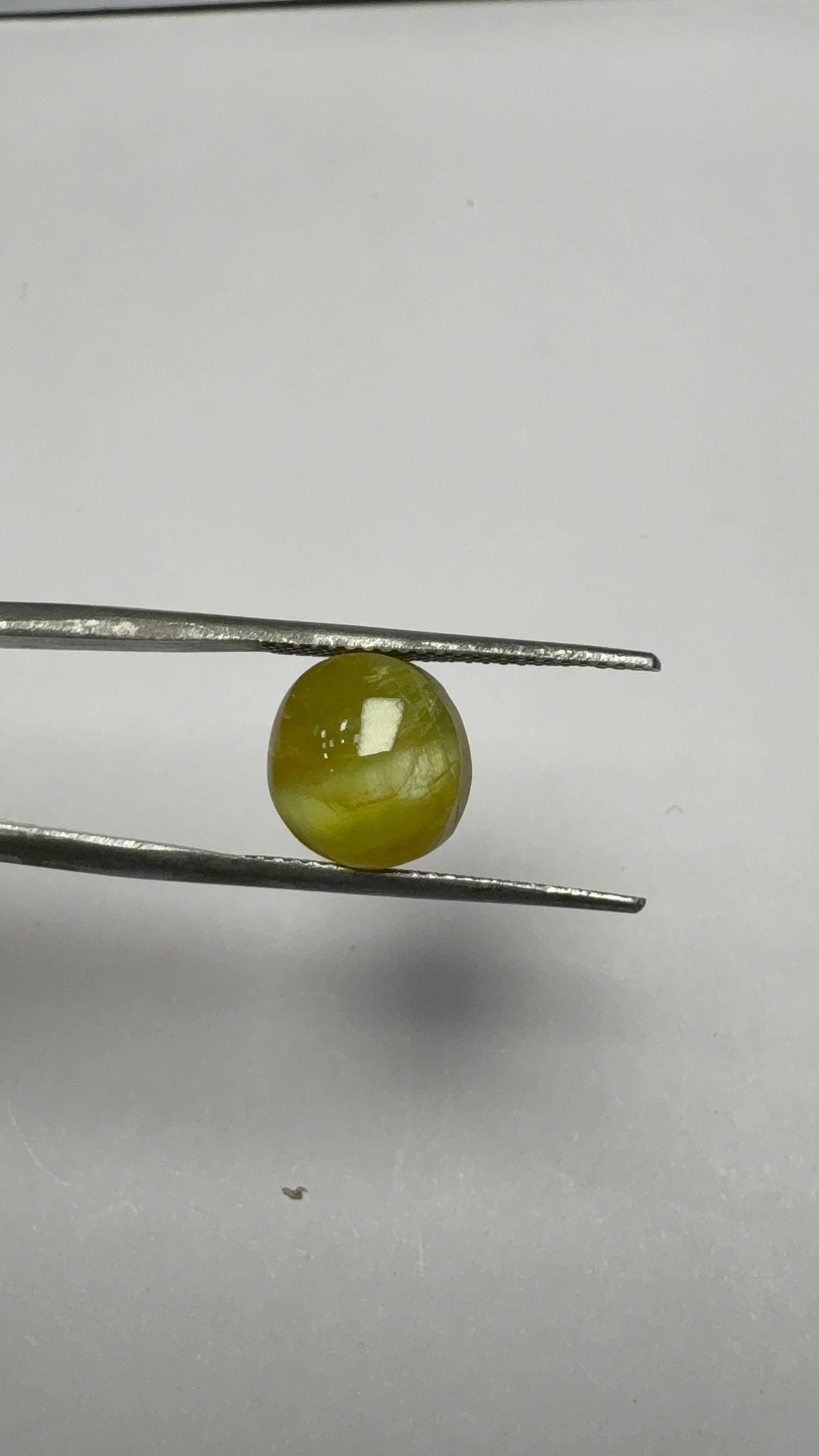 Cat's Eye 6.26 carat LAR-11 angled view