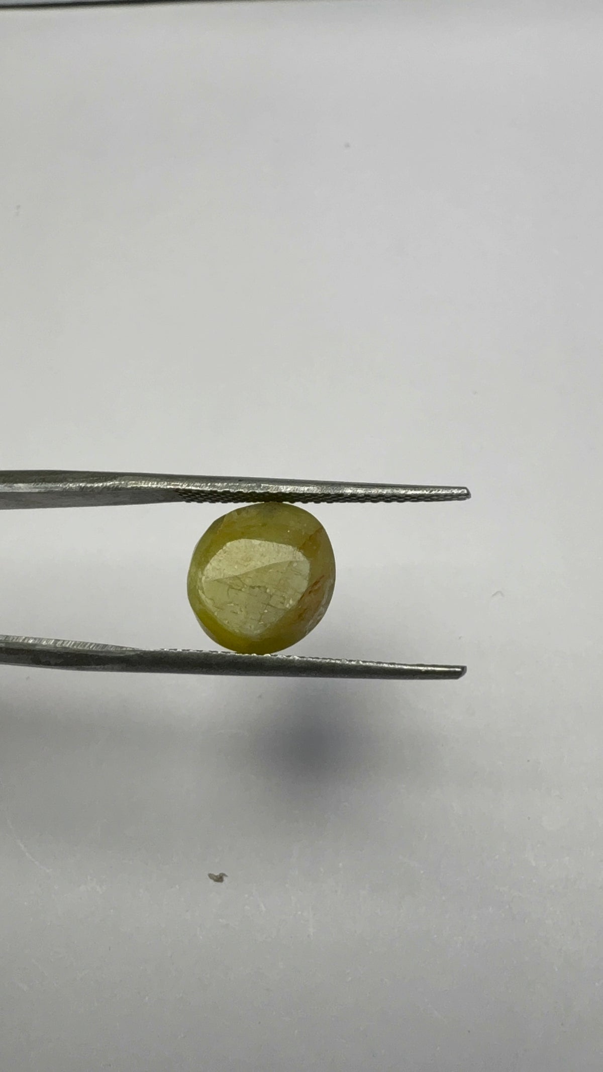 Cat's Eye 6.26 carat LAR-11 reverse view