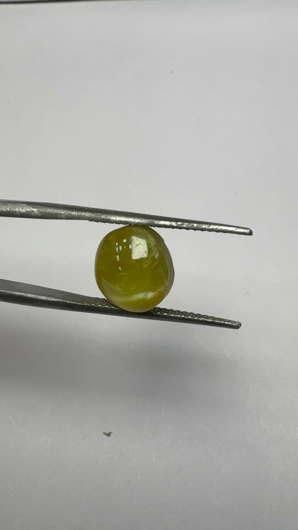 Cat's Eye 6.26 carat LAR-11 side view
