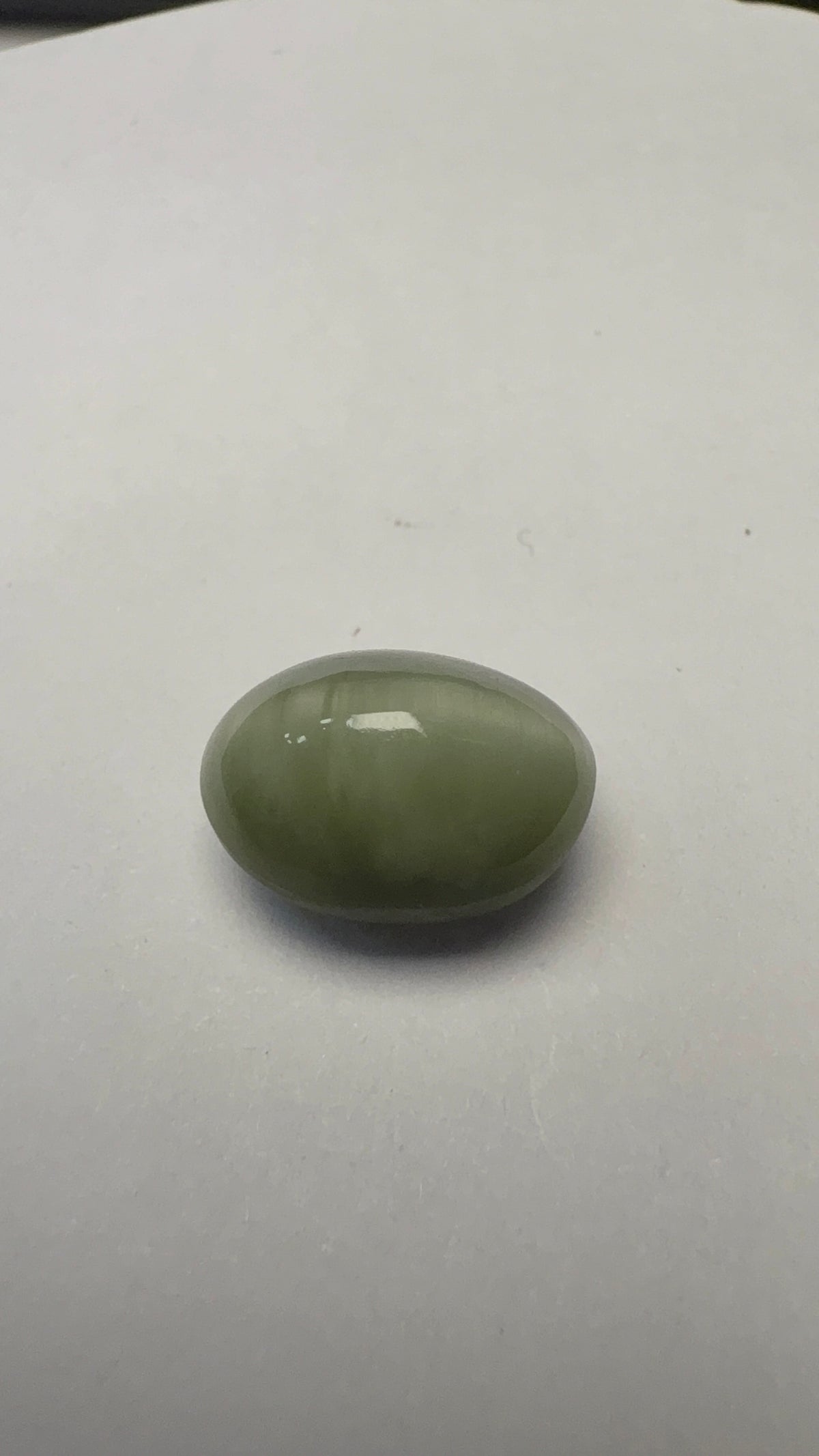 Cat's Eye 5.20 carat LAR-12 face-up view