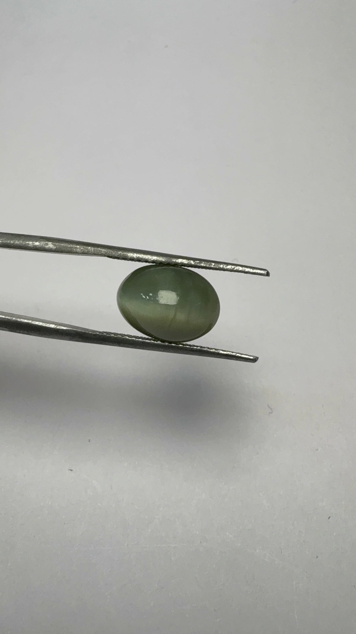 Cat's Eye 5.20 carat LAR-12 angled view