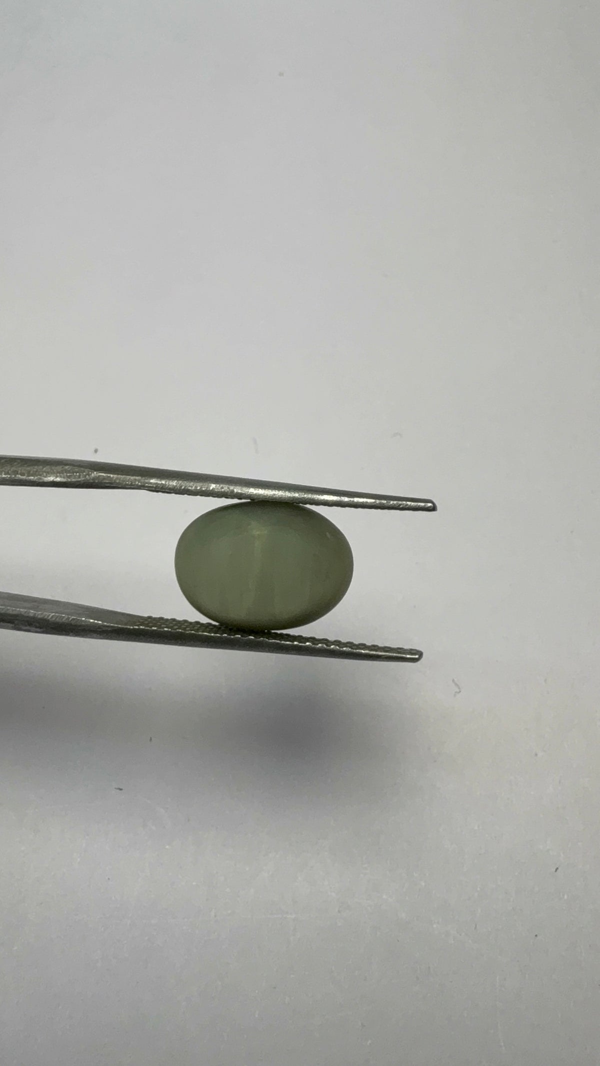 Cat's Eye 5.20 carat LAR-12 reverse view
