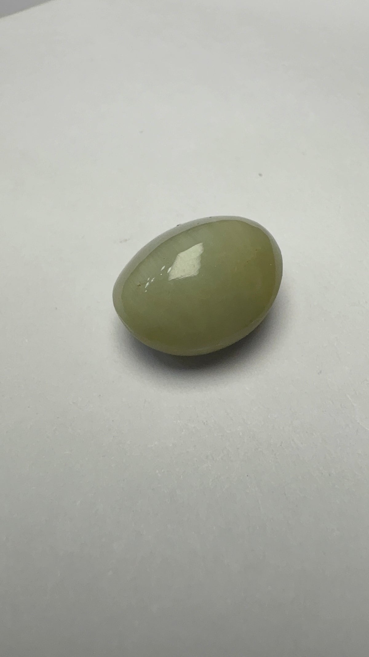 Cat's Eye 5.26 carat LAR-13 front view