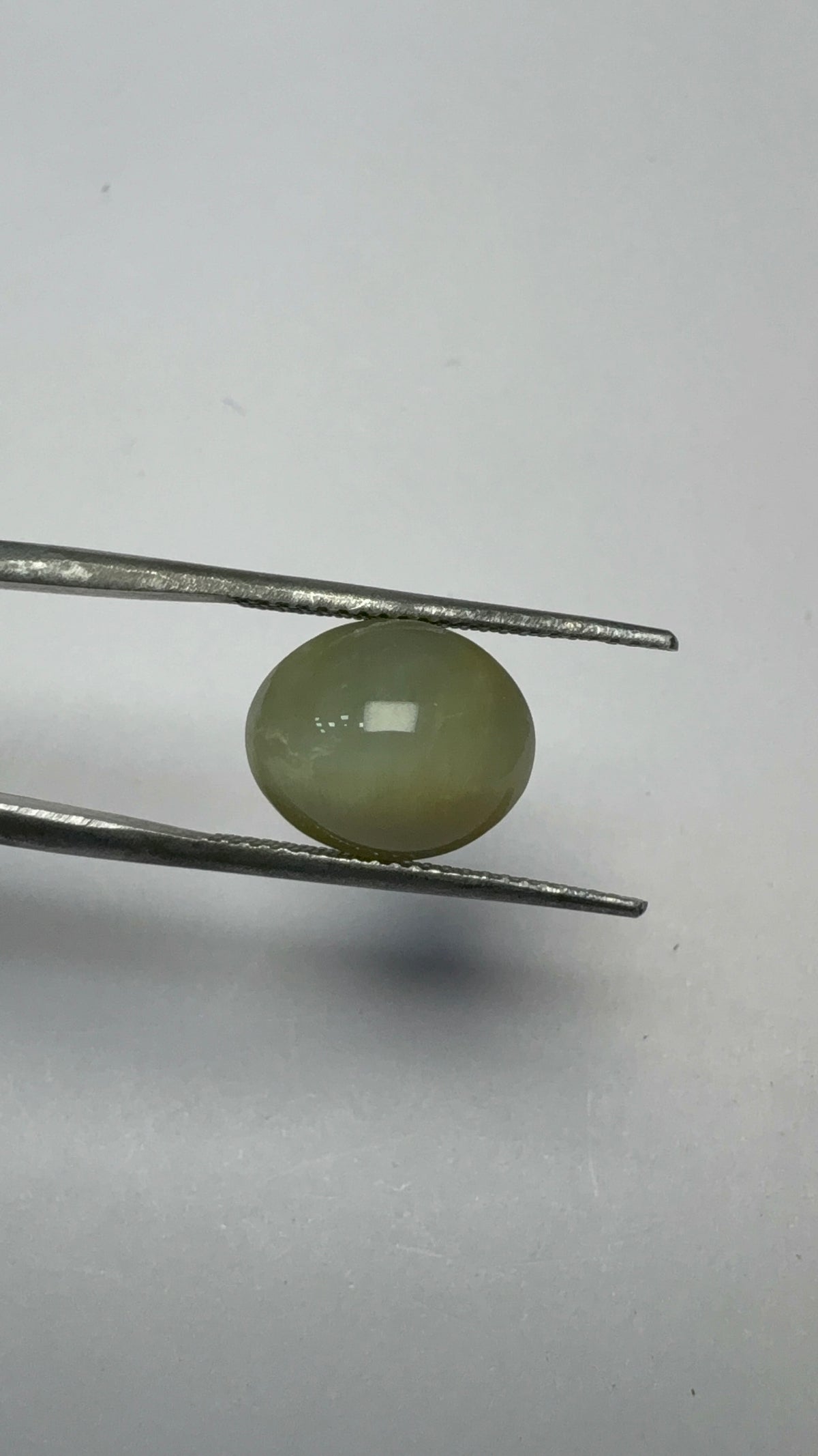 Cat's Eye 5.26 carat LAR-13 angled view