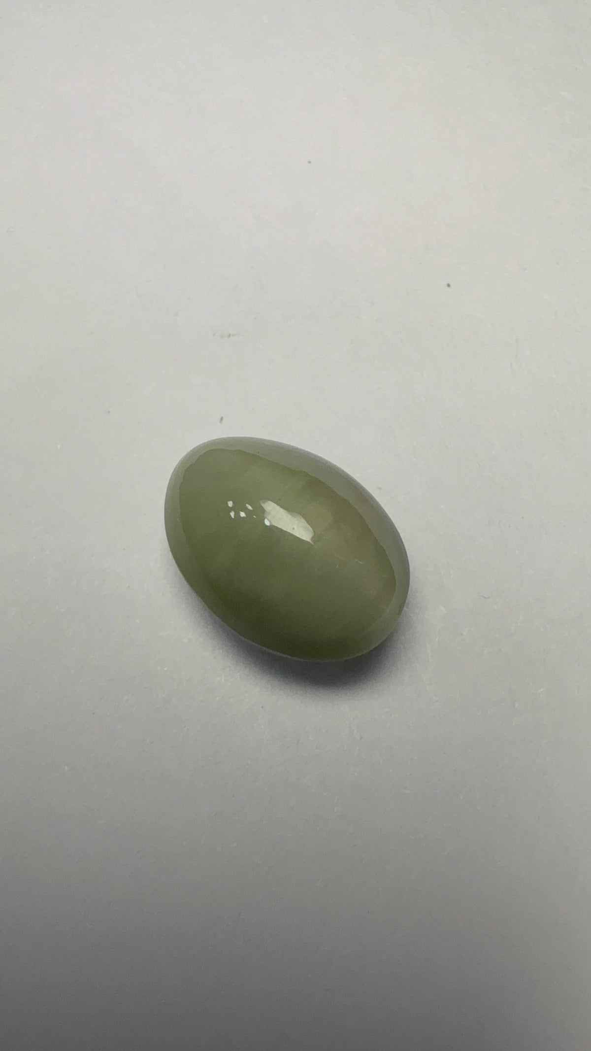 Cat's Eye 5.95 carat LAR-15 front view