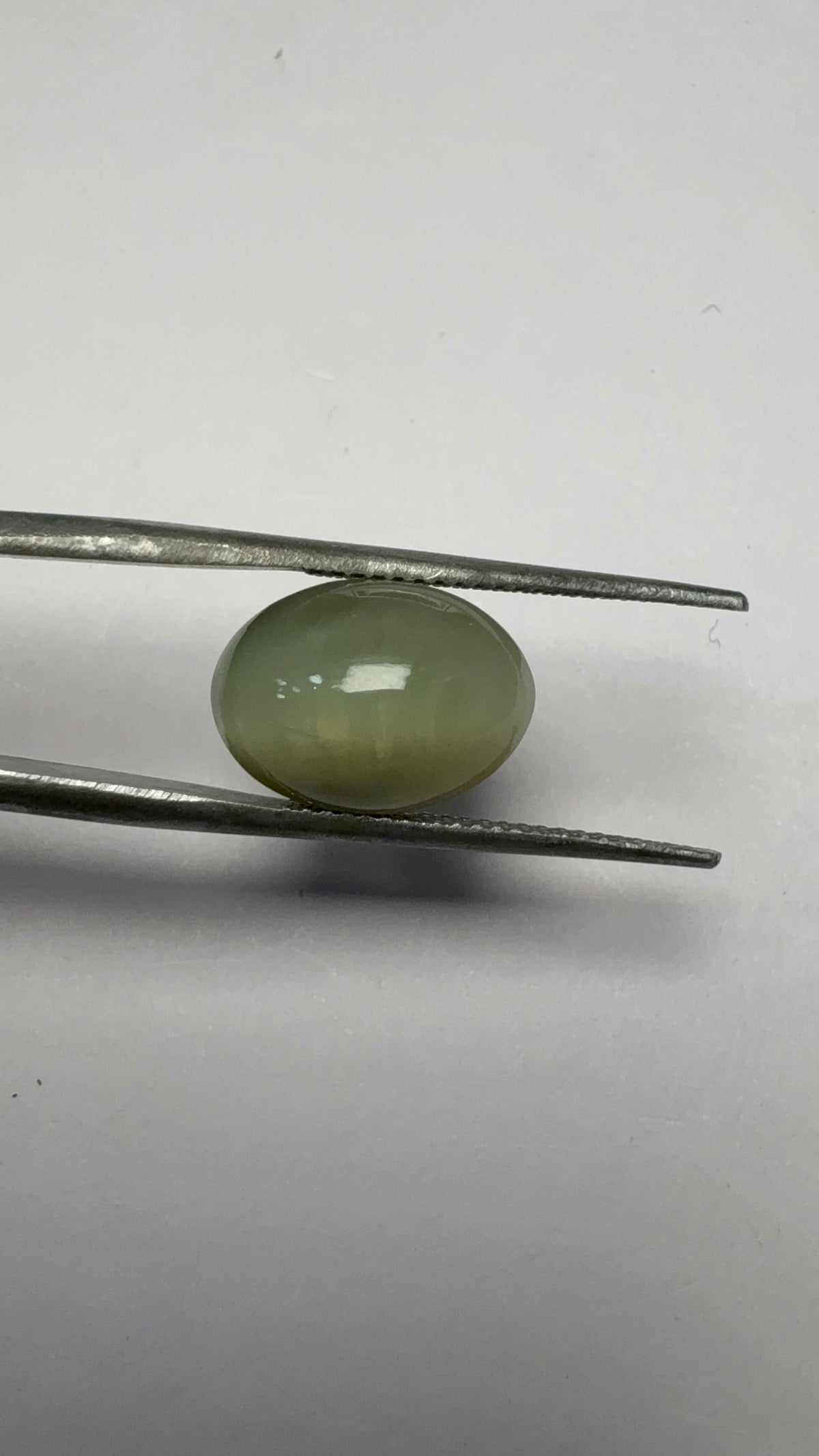 Cat's Eye 5.95 carat LAR-15 angled view