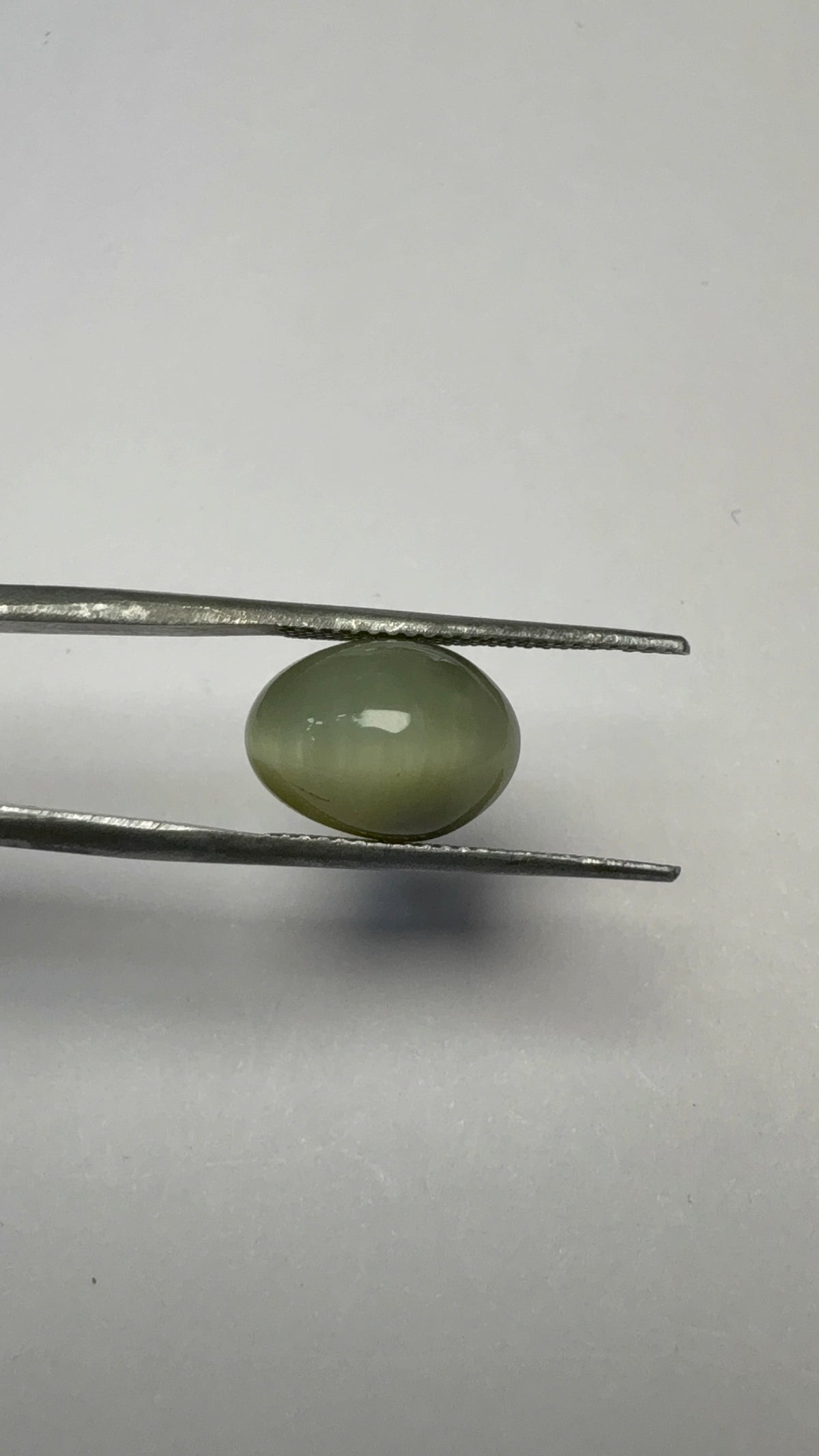 Cat's Eye 5.22 carat LAR-16 close view
