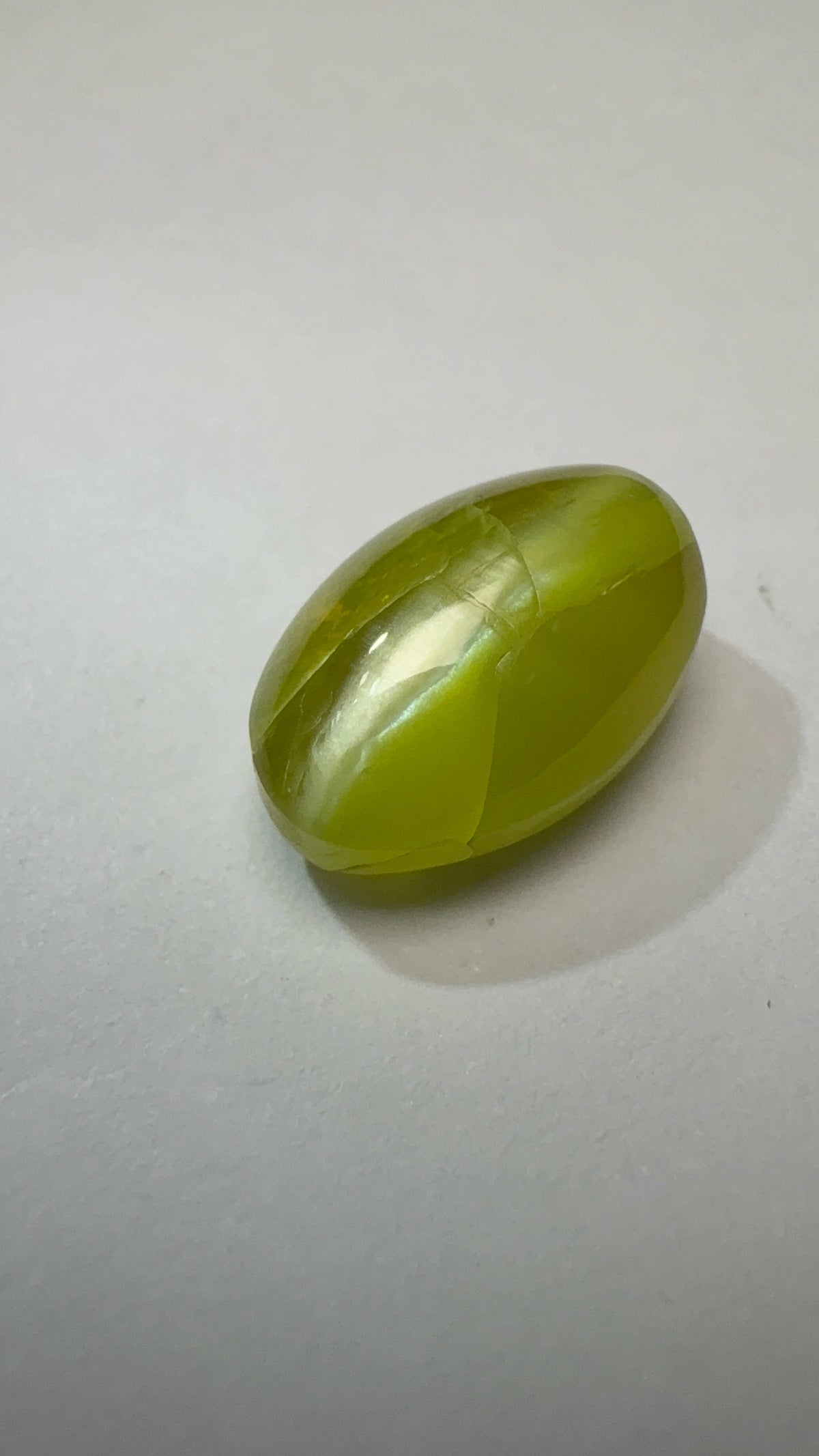 Cat's Eye 5.19 carat LAR-17 face-up view