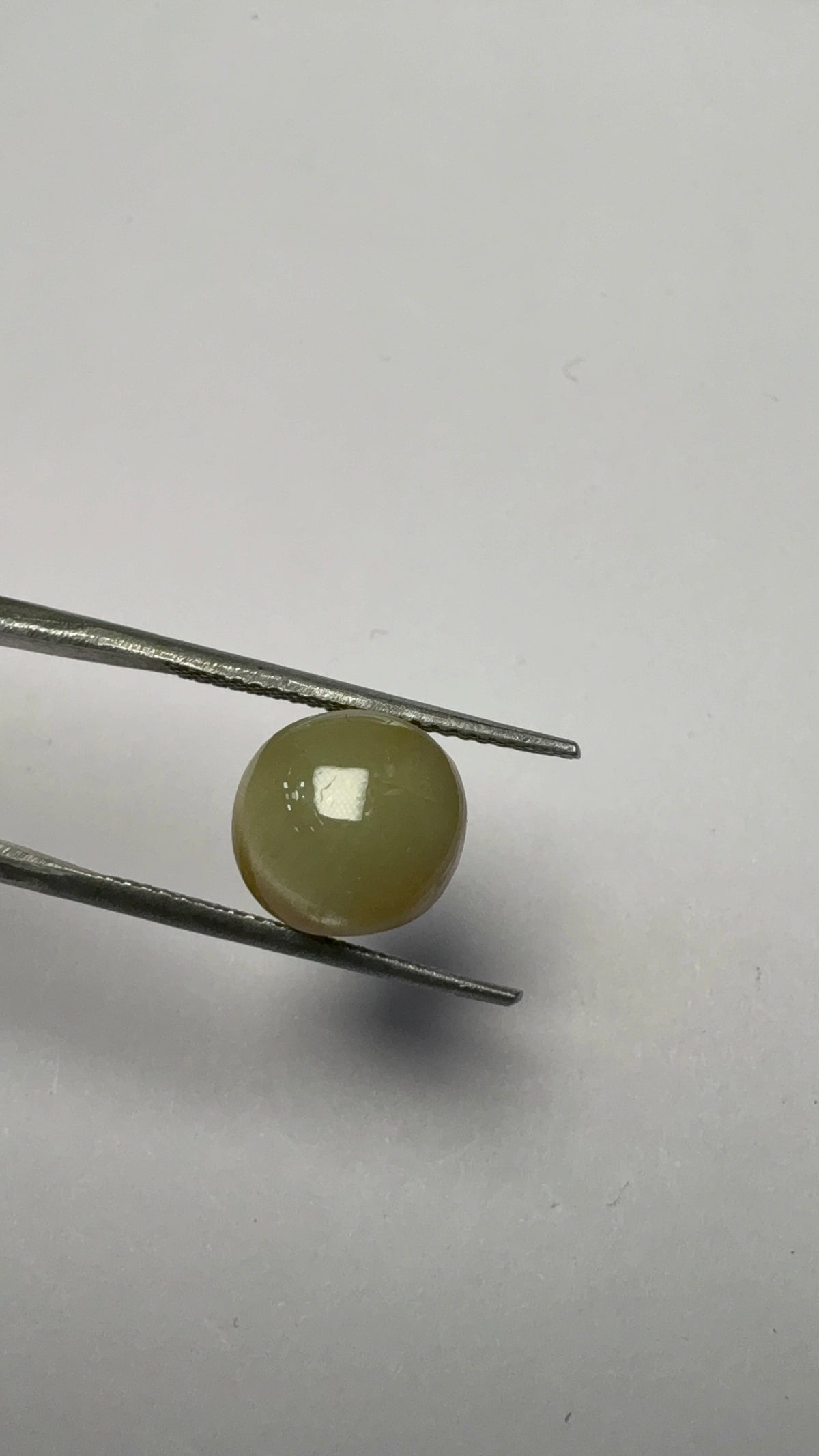 Cat's Eye 7.22 carat LAR-18 close view