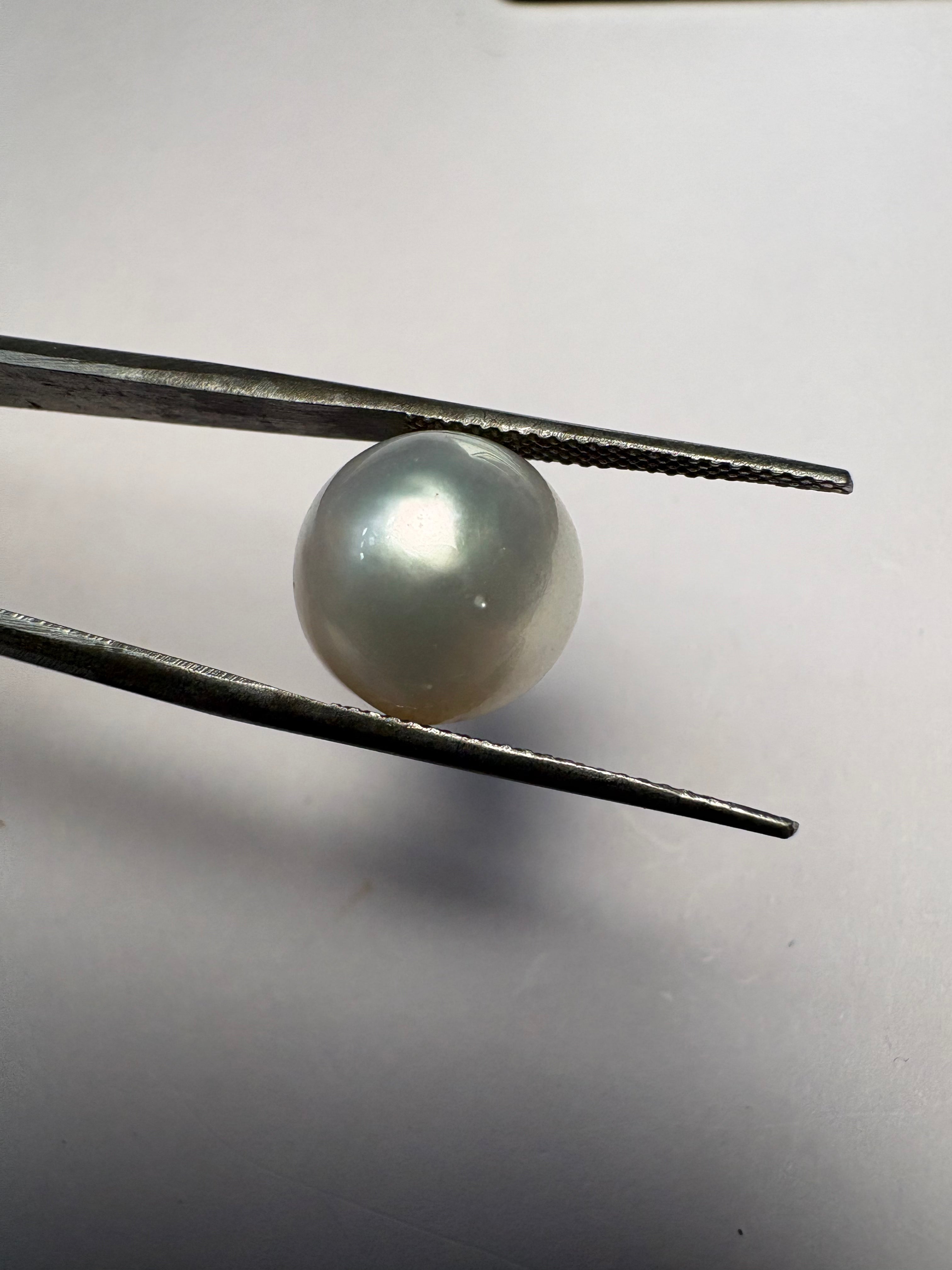 South Sea Pearl 11.93 carat PSR-03 front view