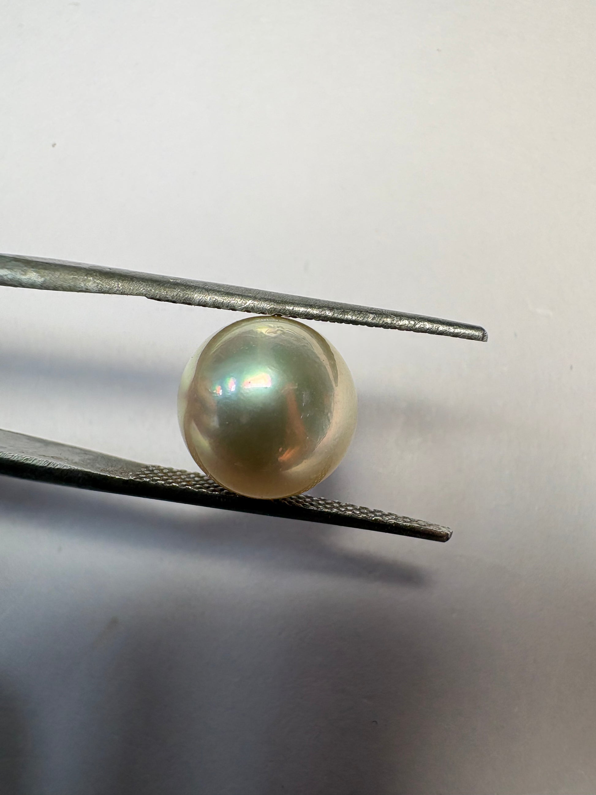South Sea Pearl 6.38 carat PSR-09 front view