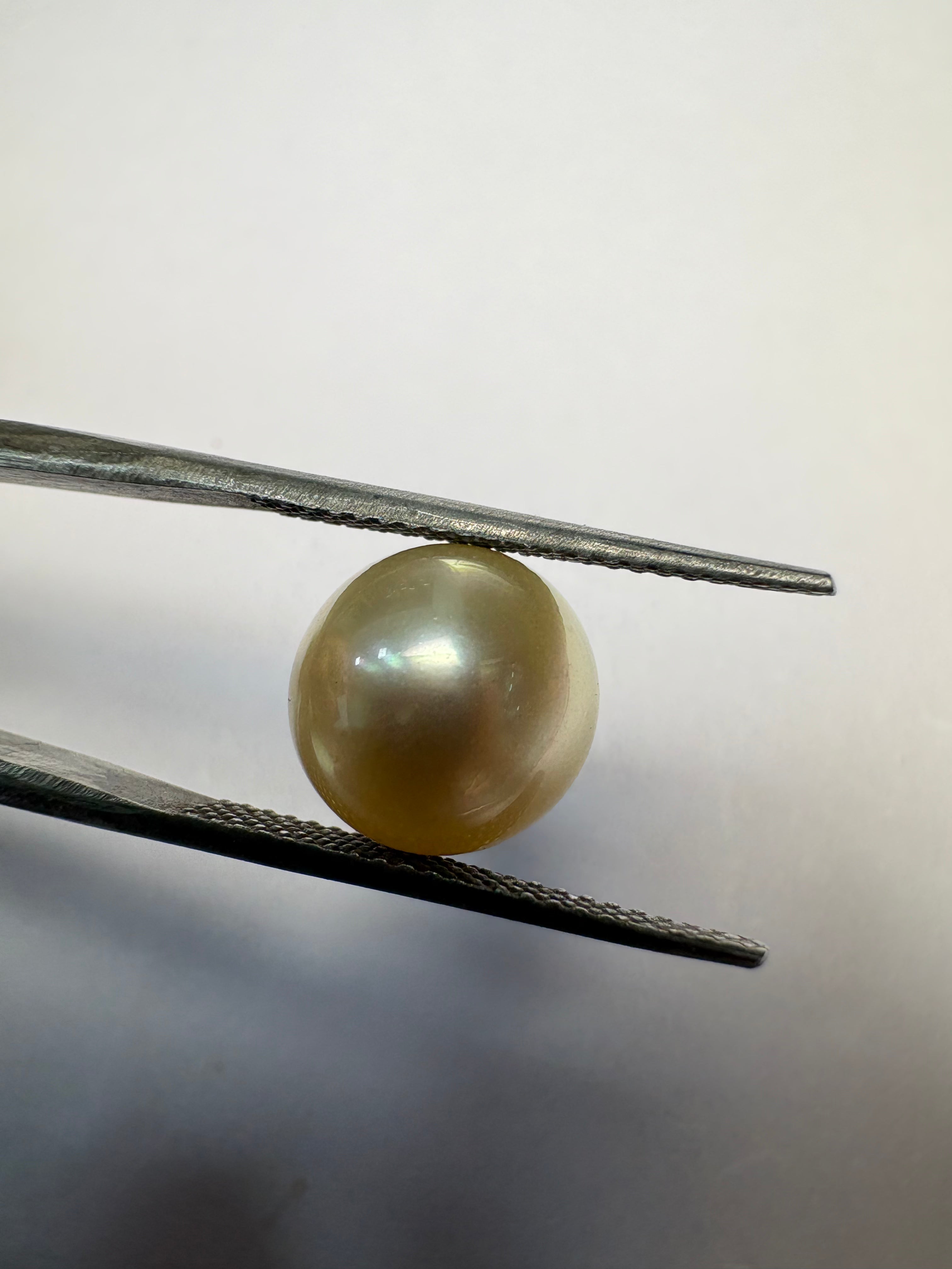 South Sea Pearl 6.38 carat PSR-09 face-up view