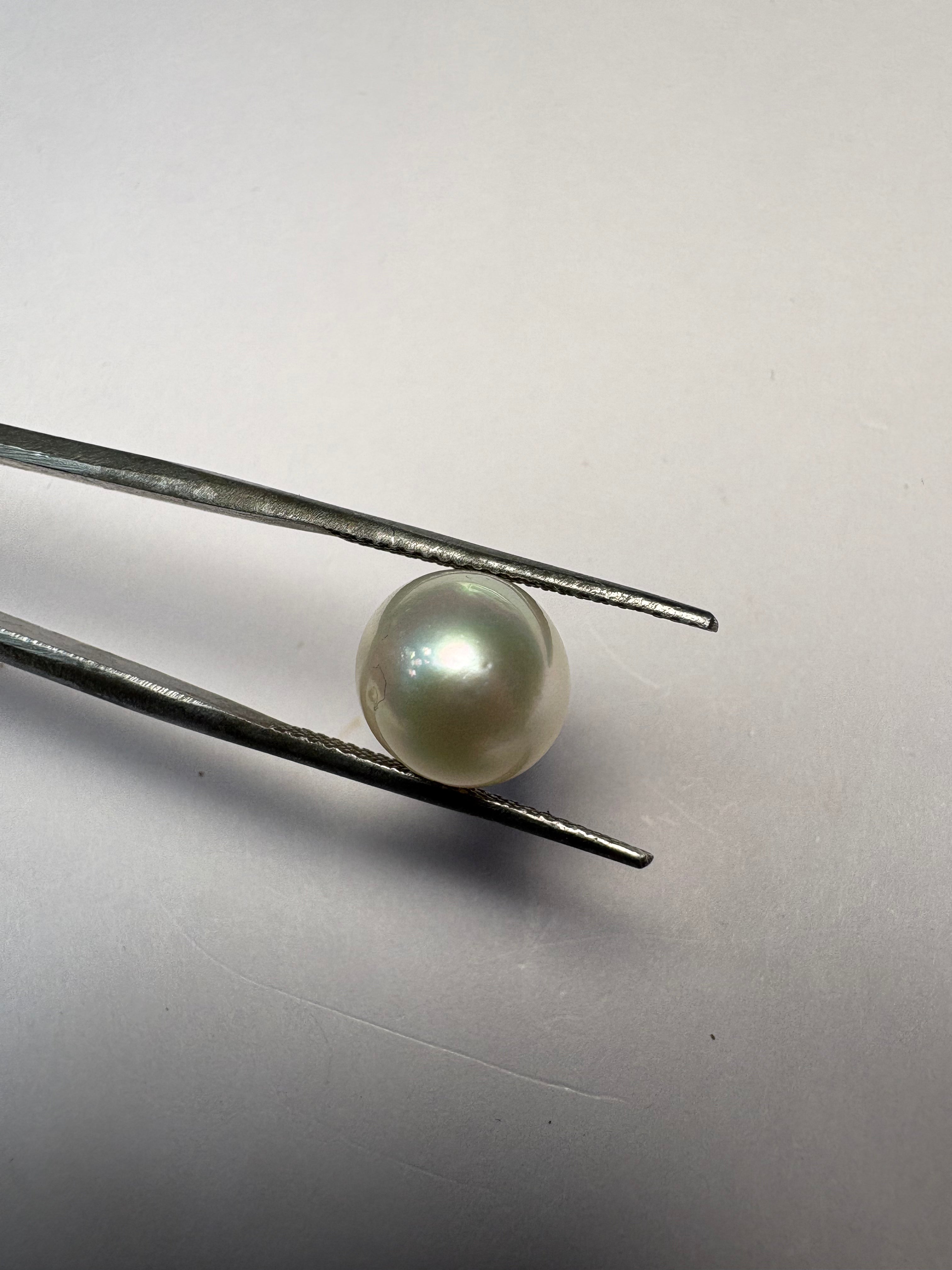 South Sea Pearl 6.43 carat PSR-10 front view