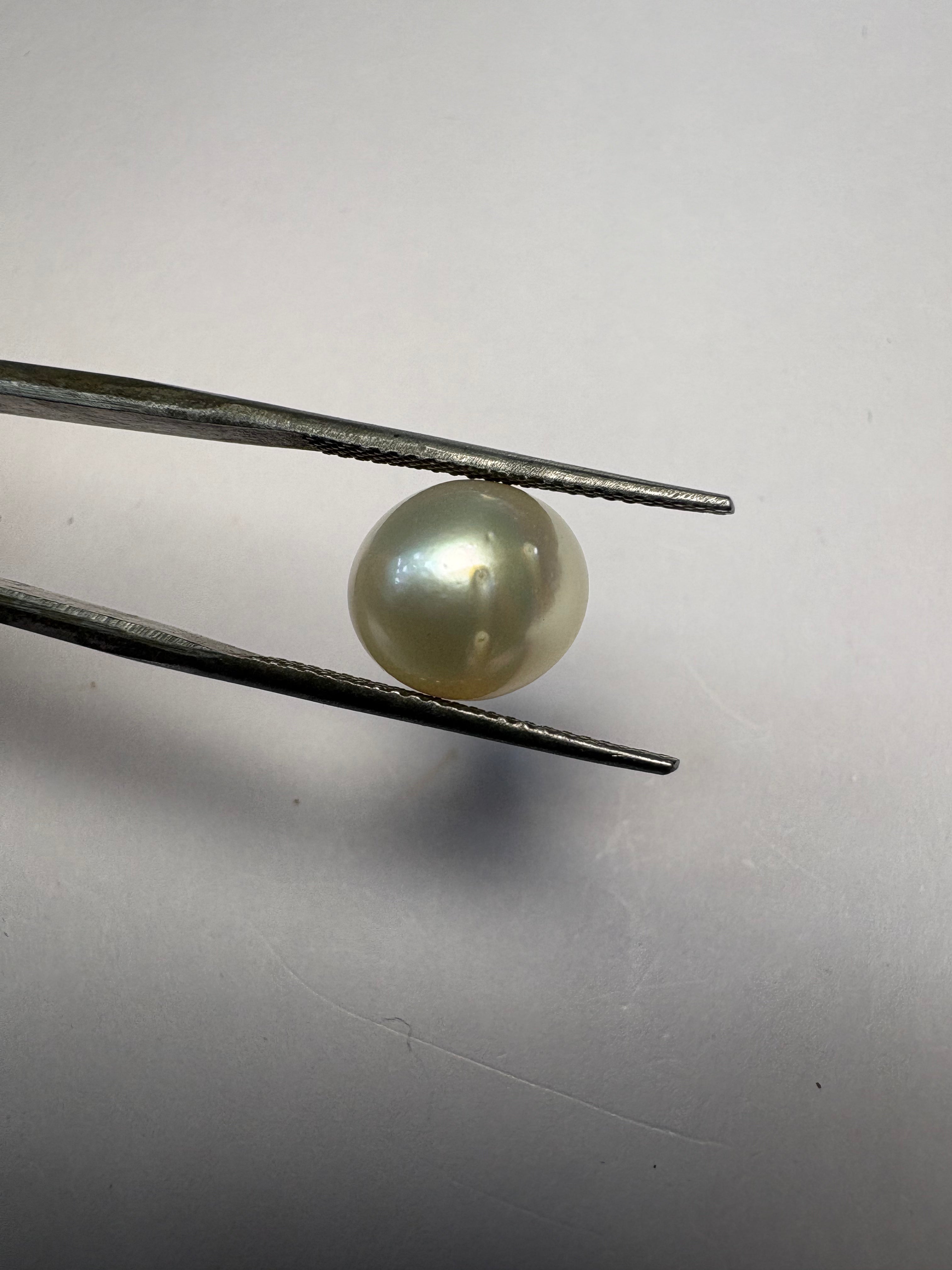 South Sea Pearl 6.43 carat PSR-10 face-up view