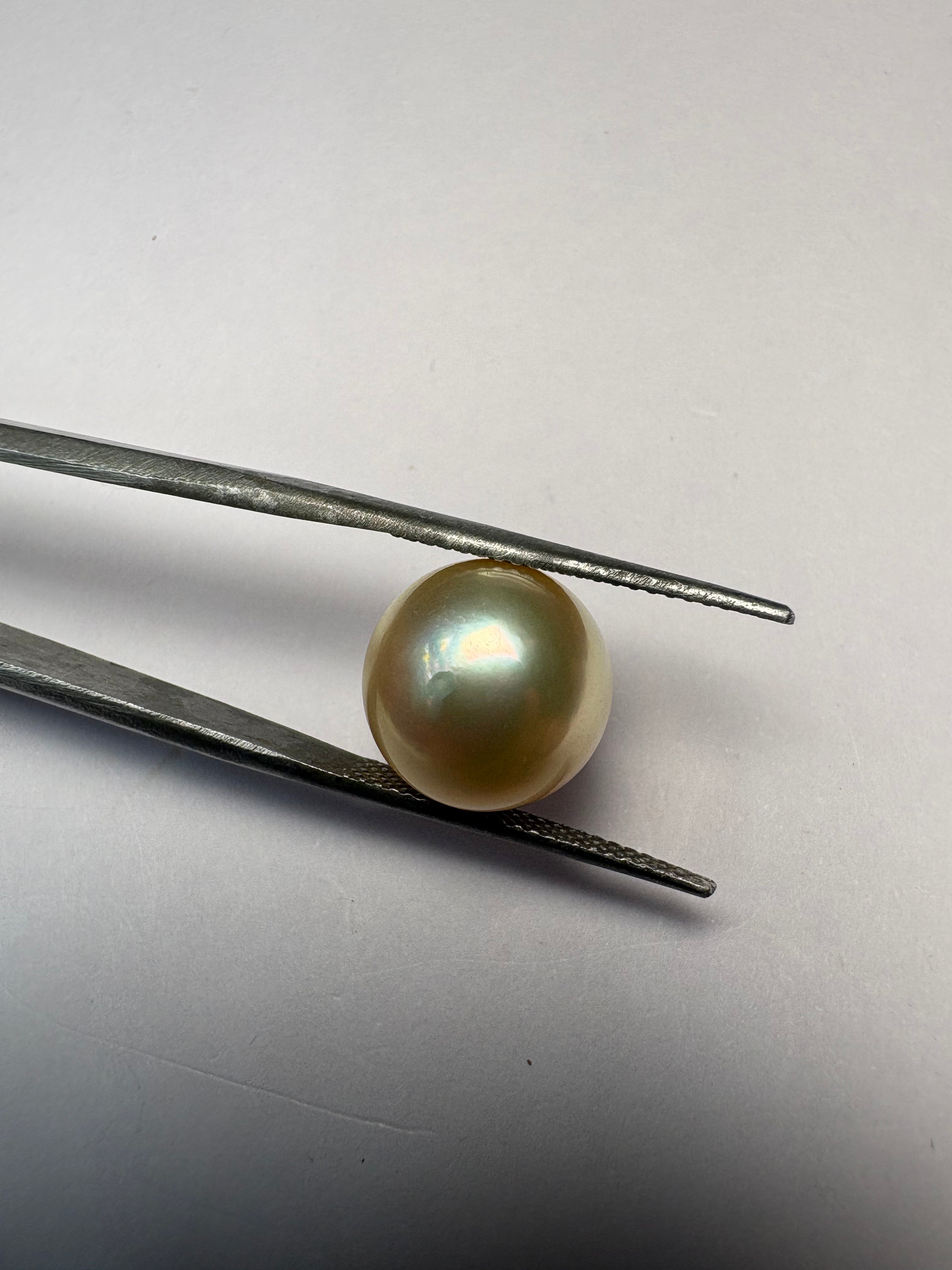 South Sea Pearl 10.23 carat PSR-12 front view