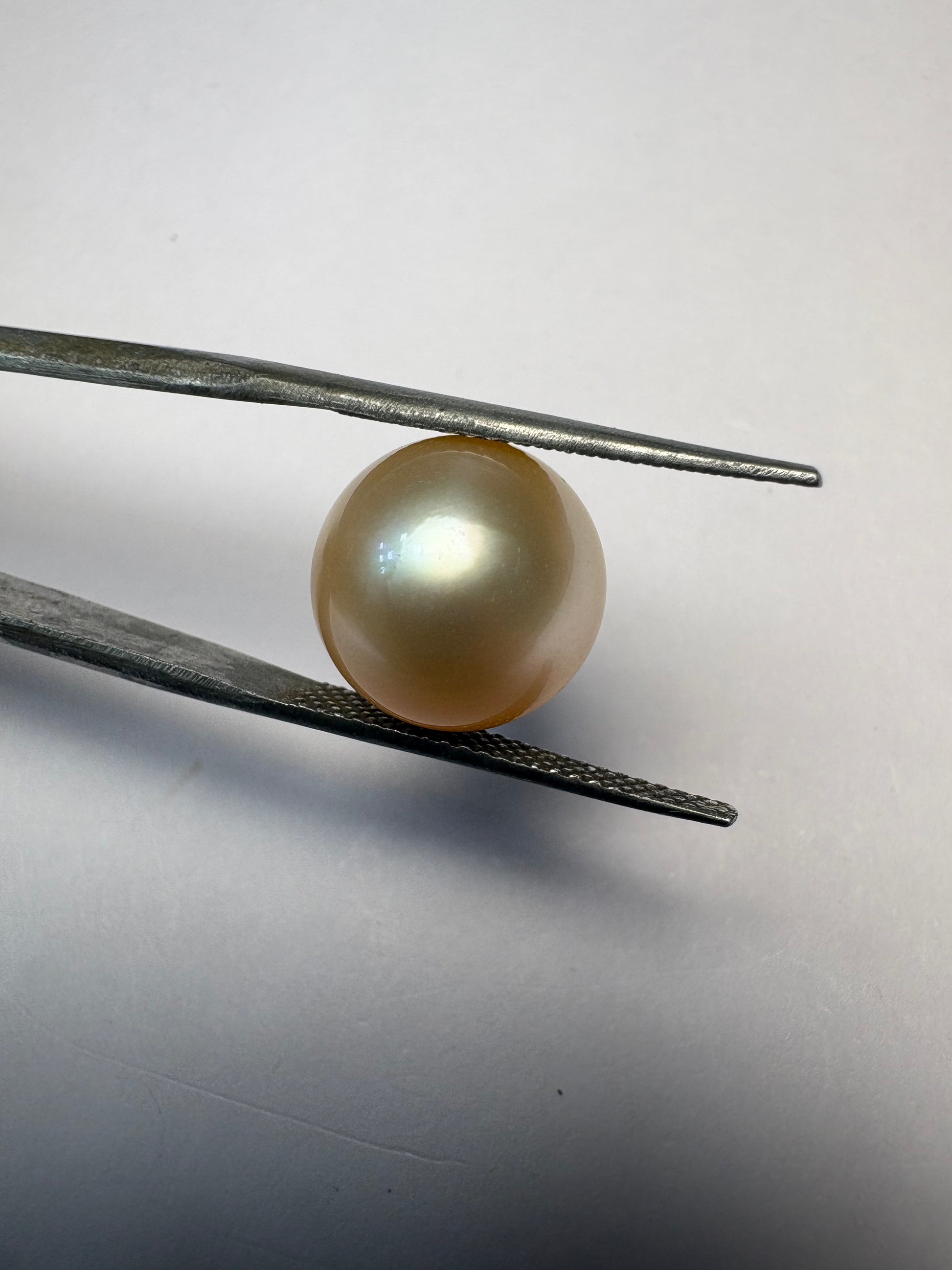 South Sea Pearl 10.23 carat PSR-12 face-up view
