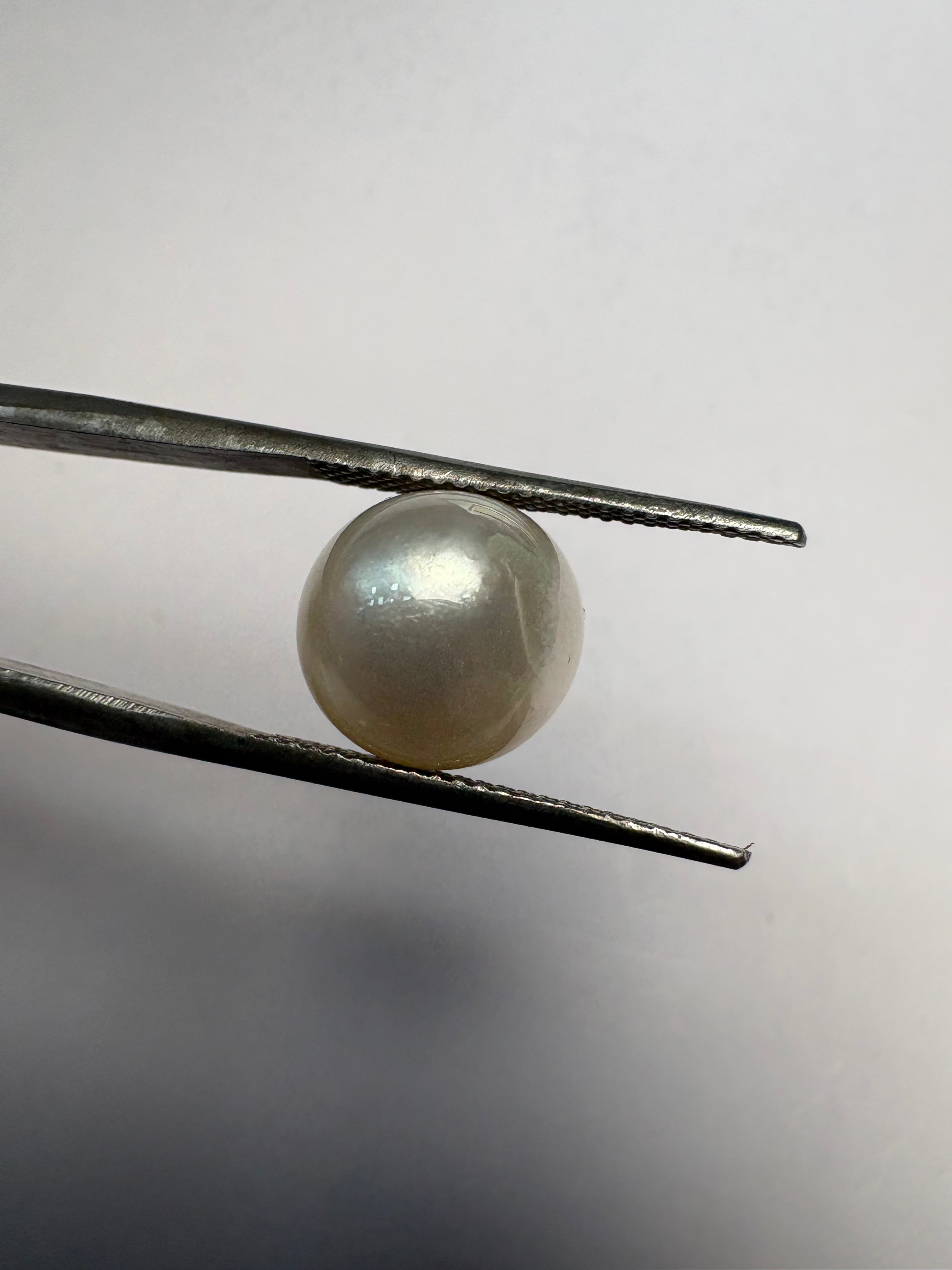 South Sea Pearl 7.64 carat PSR-13 front view