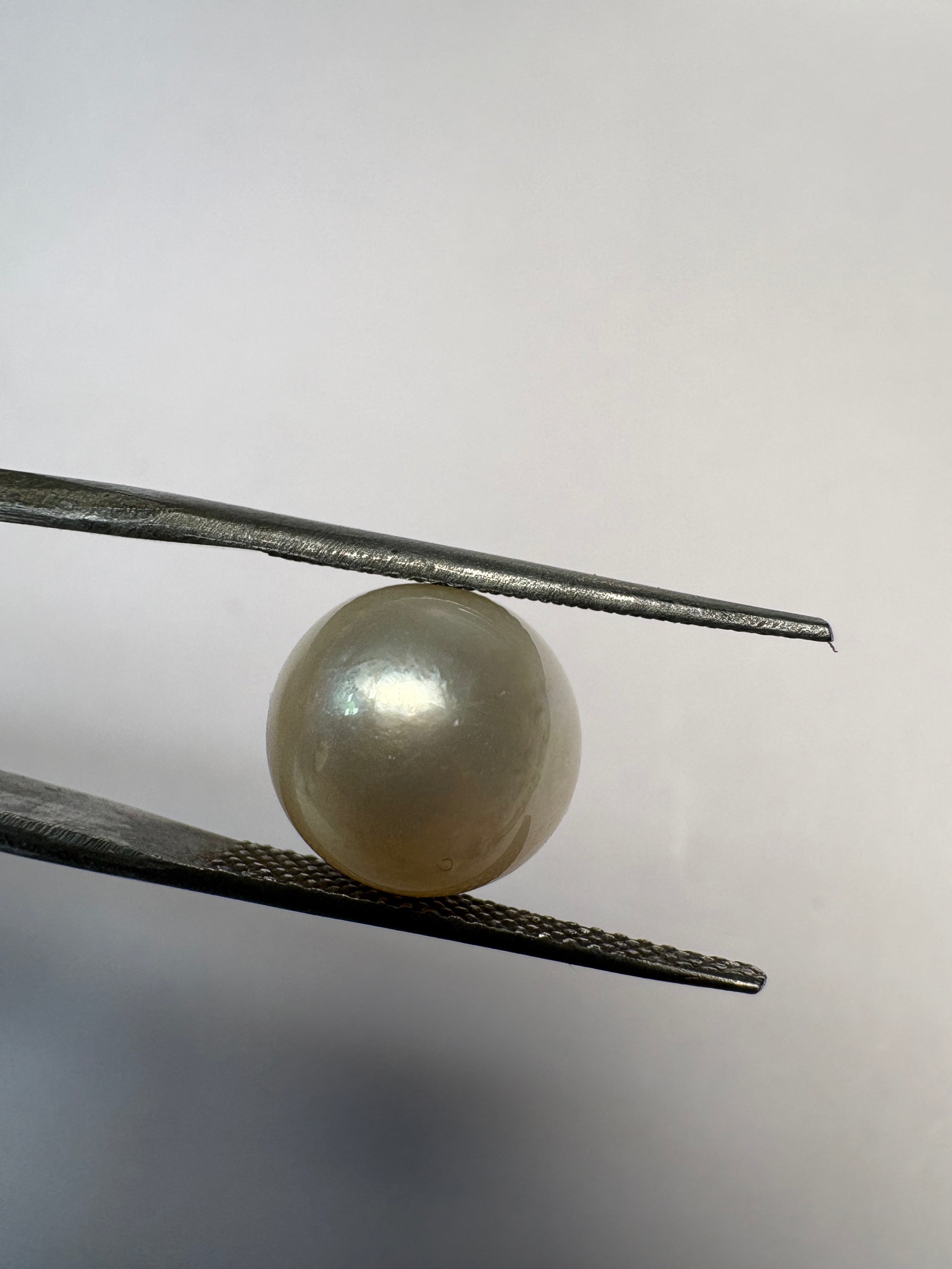 South Sea Pearl 7.64 carat PSR-13 face-up view