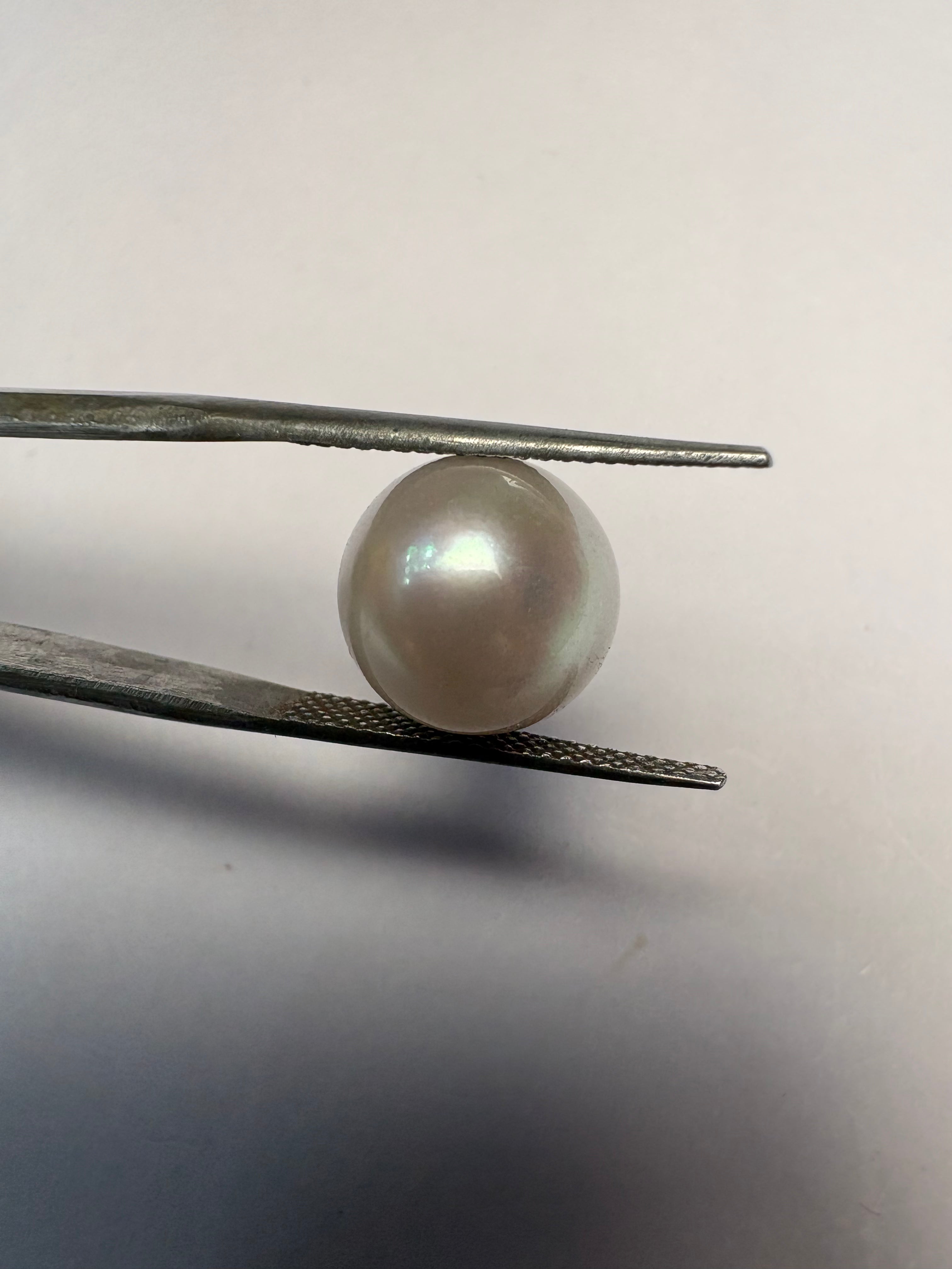 South Sea Pearl 10.49 carat PSR-14 face-up view