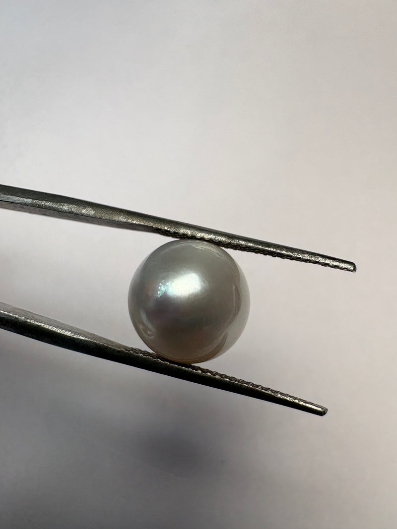தென் கடல் முத்து – 8.96 காரட் – உருண்டை